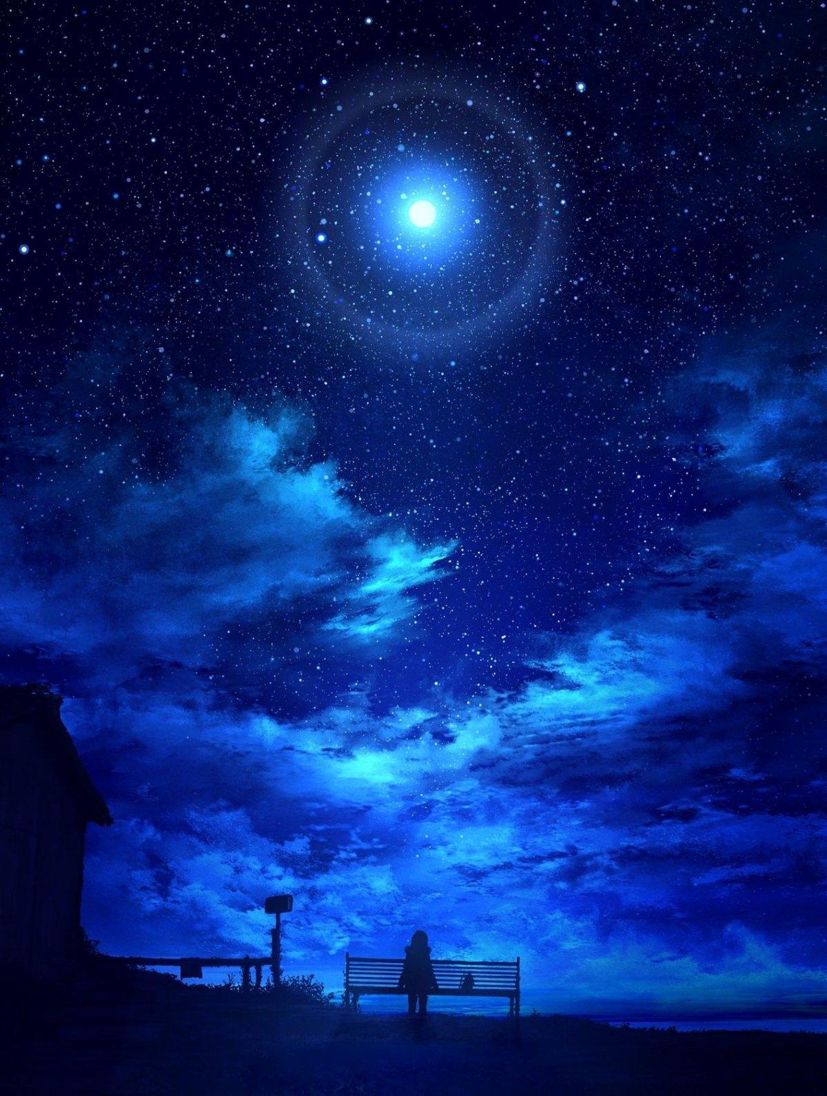 Звездное небо и луна Векторное изображение ©losw 10288270