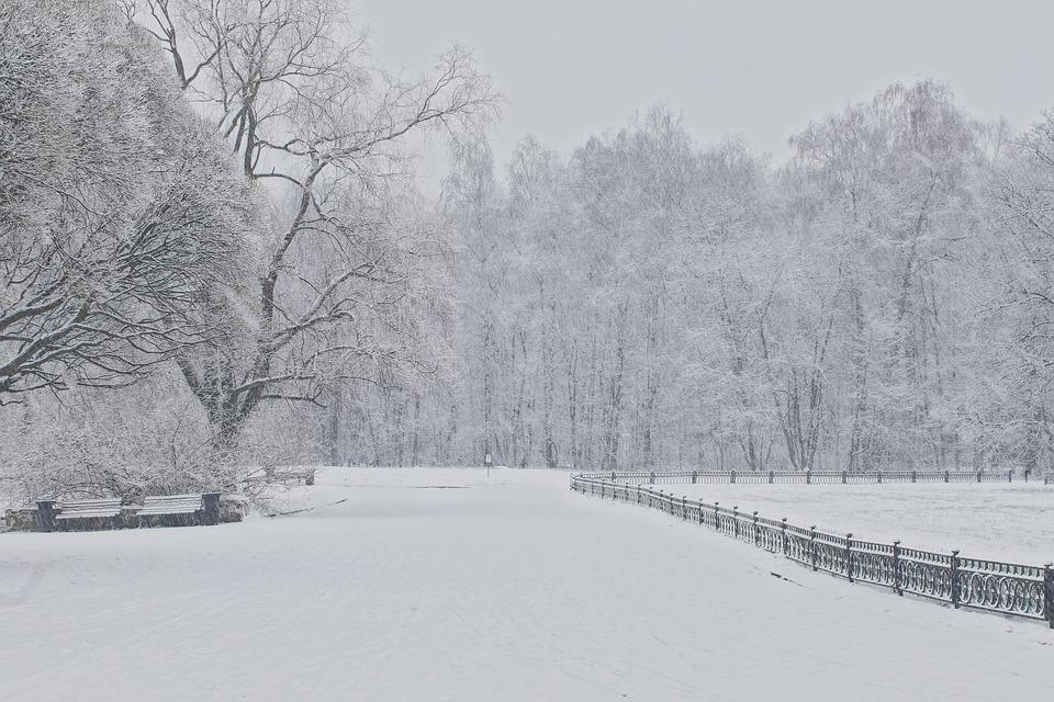 Холодная зима - 66 фото