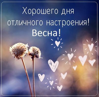 Открытка доброе утро хорошего дня весны - скачать бесплатно на сайте  otkrytkivsem.ru