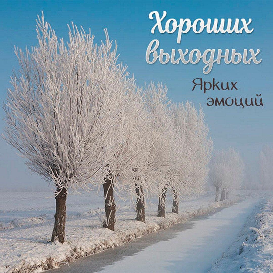 Красивые открытки с прекрасным зимним днем - 65 фото