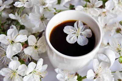 Кофе весна Изображения – скачать бесплатно на Freepik