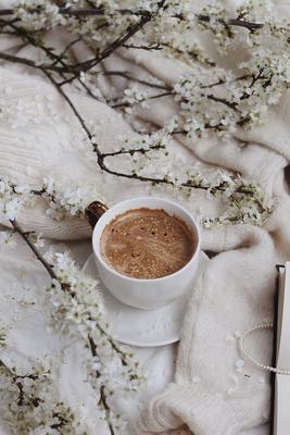 Кофе Весна Цветы - Бесплатное фото на Pixabay - Pixabay