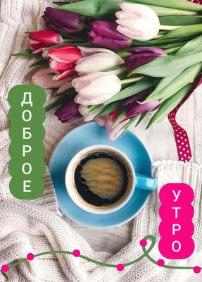 Картинки цветы кофе весна (70 фото) » Картинки и статусы про окружающий мир  вокруг