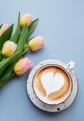 Скачать картинки Весна кофе, стоковые фото Весна кофе в хорошем качестве |  Depositphotos