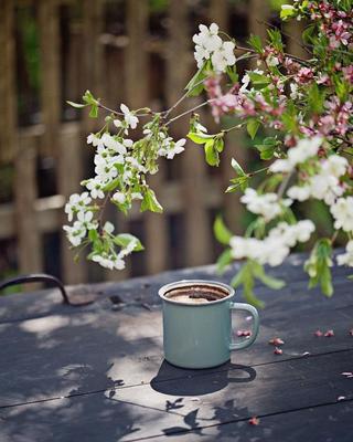 Утро весны с кофе стоковое изображение. изображение насчитывающей  приветствие - 90445693