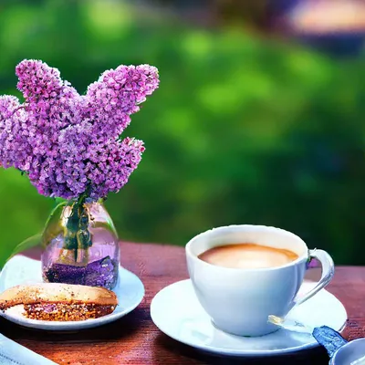 Скачать картинки Кофе весна, стоковые фото Кофе весна в хорошем качестве |  Depositphotos