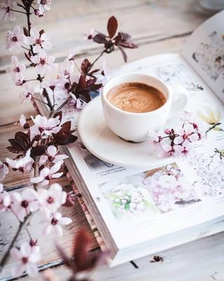 Пин от пользователя Татьяна Айвазова на доске УТРО с чашечкой кофе | Кофе