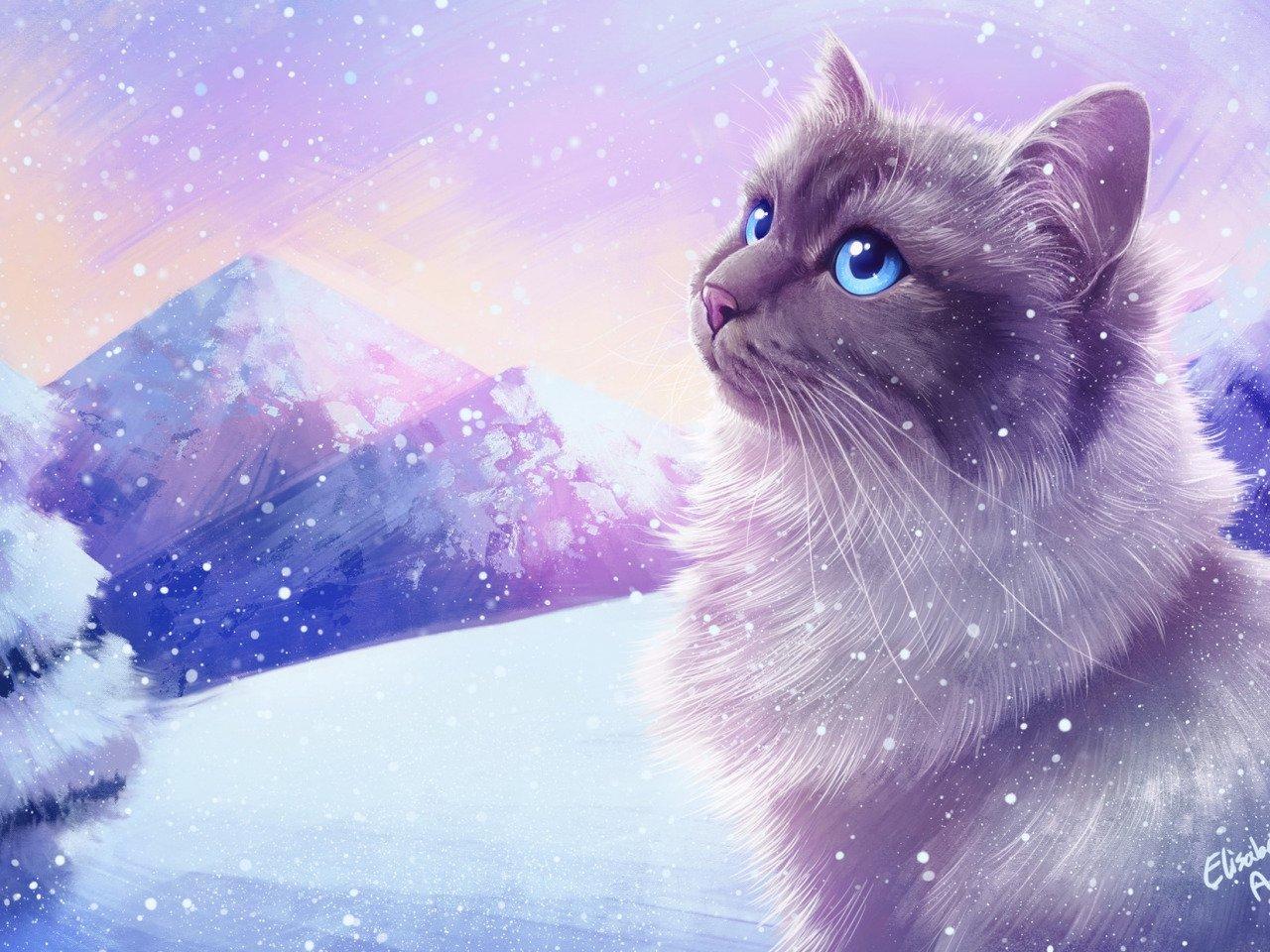 Скачать обои снег, зима, кот, кошка, взгляд разрешение 1400x1050 #105570
