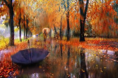 Красивые осенние листья упали в воду осенним дождем Верхнее представление  Стоковое Изображение - изображение насчитывающей естественно, зеленый:  159553425