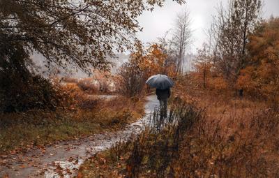 Осень дождь - 94 фото