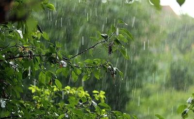 В Днепре второй день идет летний дождь: красивые фото непогоды