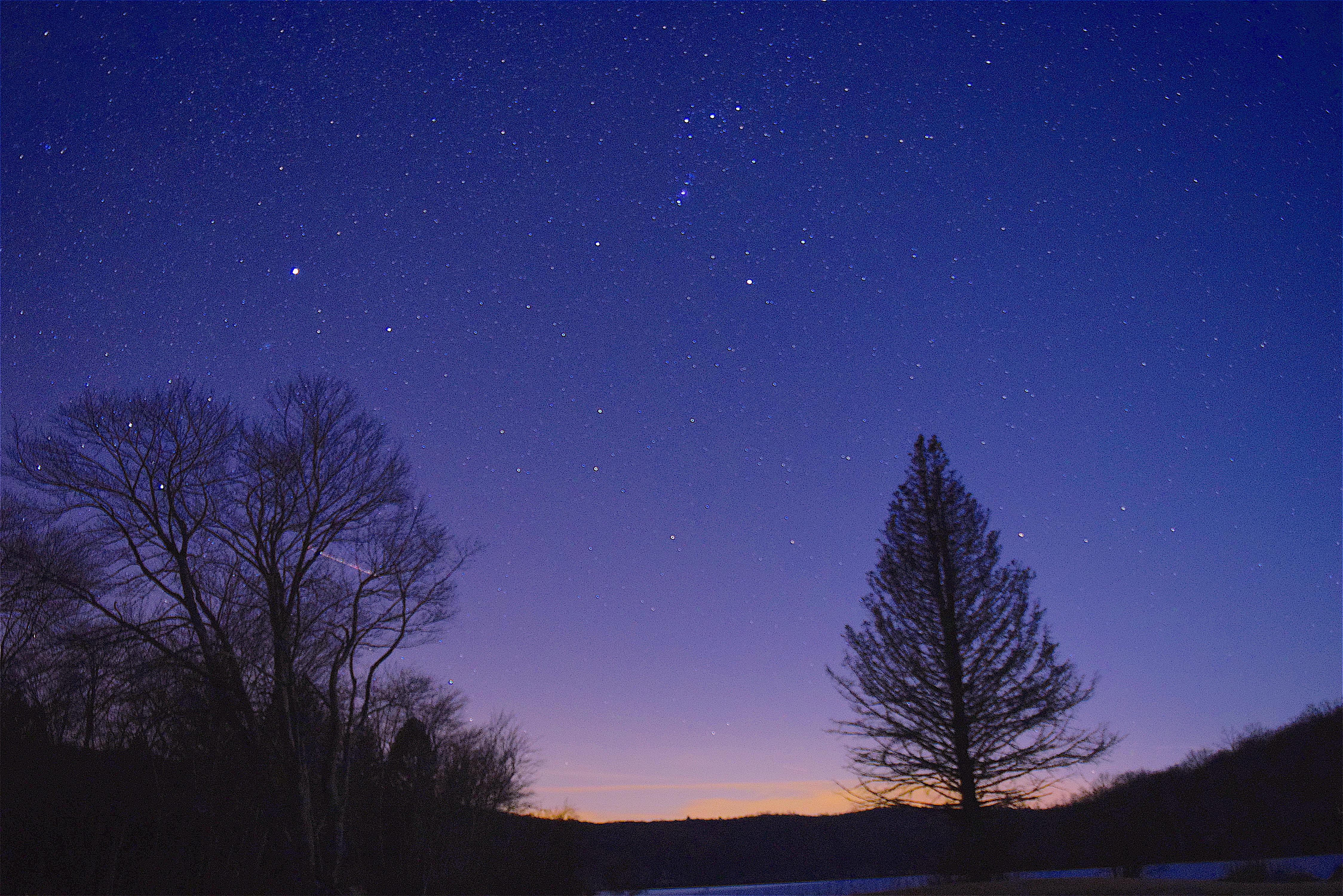 лес звезда облака небо обои Hd, красивая картинка ночного неба, ночь,  звездное небо фон картинки и Фото для бесплатной загрузки