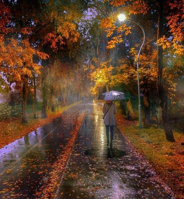 Осень парк дождь (69 фото) - 69 фото