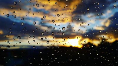Осень дождь (57 фото)