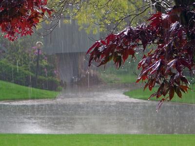 Осенний Дождь Опавшими Листьями стоковое фото ©lily45 214093402