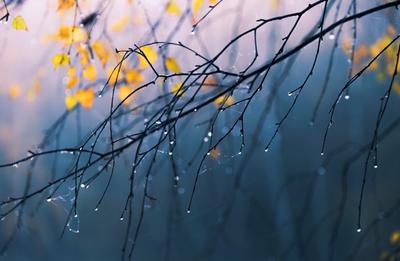 Осенний дождь - 60 фото