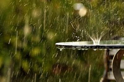 Как фотографировать под дождем и получать красивые фото | Фотосклад.Эксперт  | Дзен