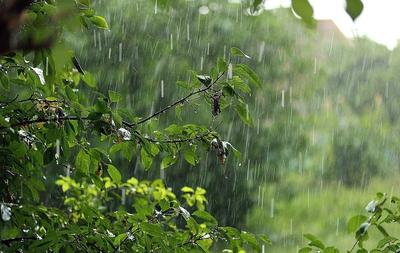 15 фото дождя, которые заставят прочувствовать всю красоту ливня |  TravelAsk | Дзен