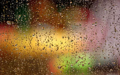 Картинки дождь красивые люблю дождь (66 фото) » Картинки и статусы про  окружающий мир вокруг