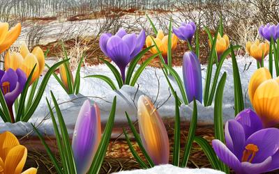 Красивые фото картинки весна на заставку телефона