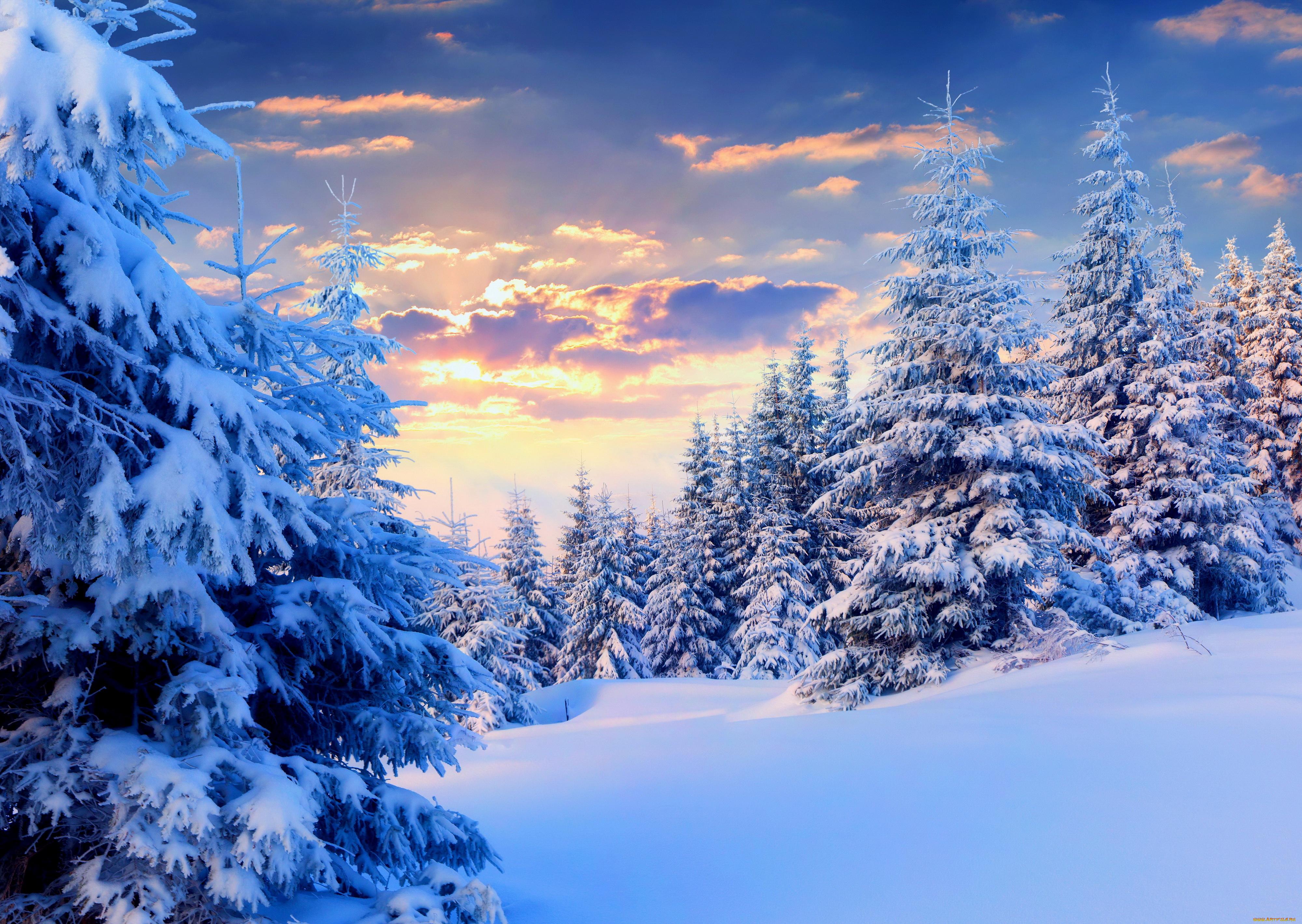 Снежная зима - красивые фото