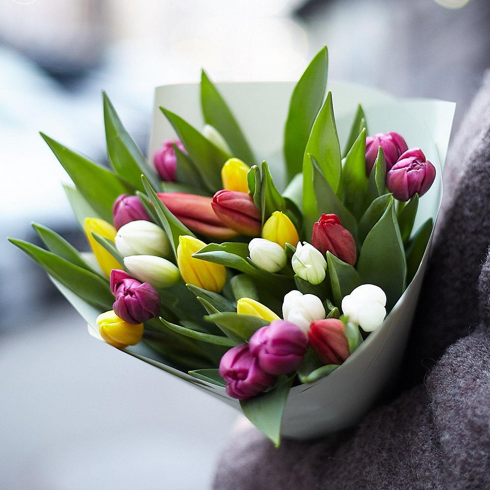 букет тюльпаны ранняя весна: 9 тыс изображений найдено в Яндекс.Картинках |  Букет из тюльпанов, Тюльпаны, Цветы