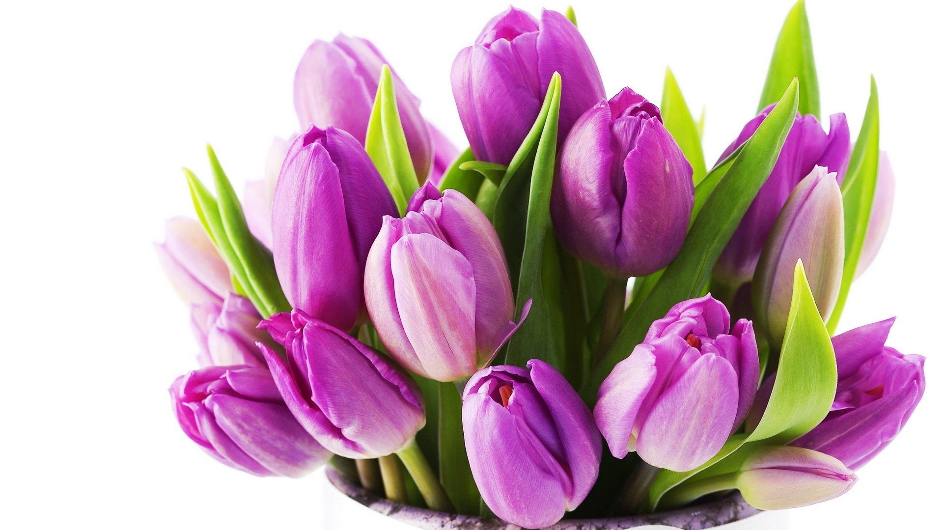 Картинки тюльпаны весна красивые букеты (69 фото) » Картинки и статусы про  окружающий мир вокруг