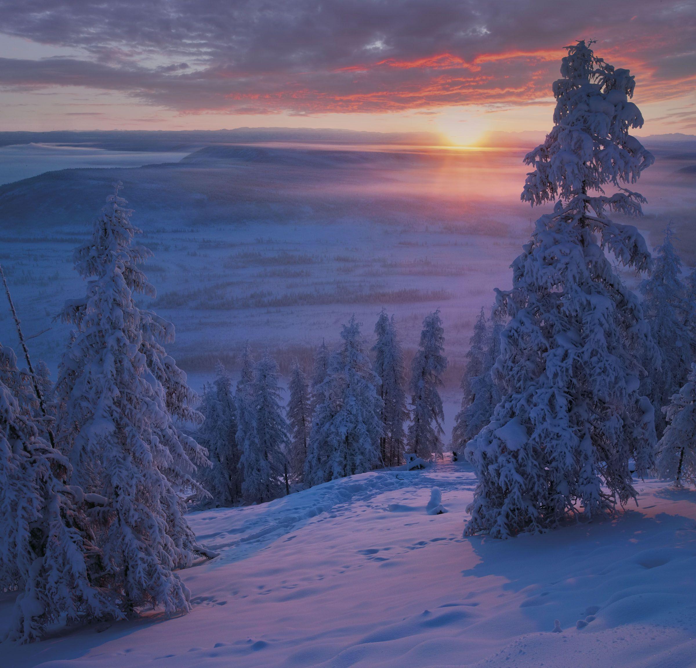 Фото Зимний вечер в лесу. Фотограф Михаил Байбородин