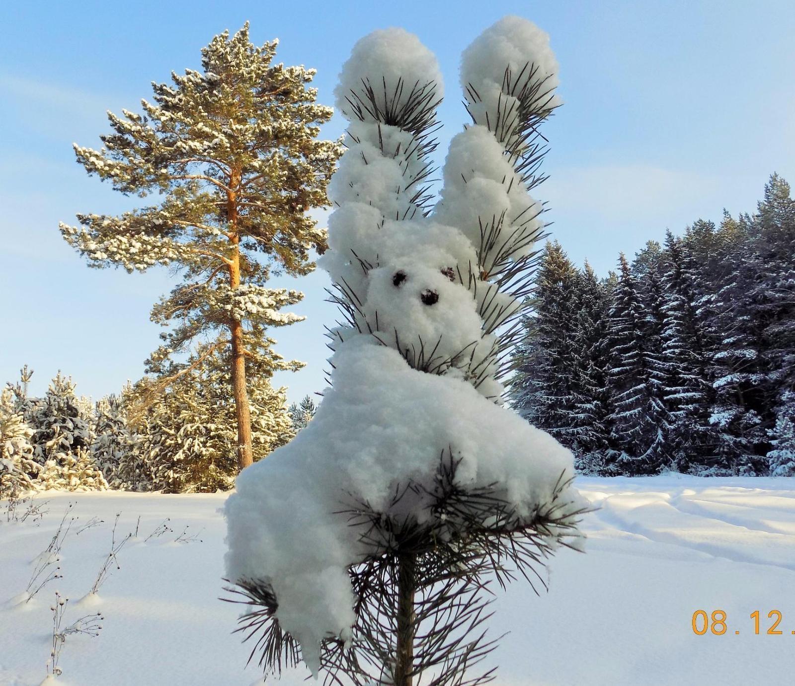 julia_deniz_ph - Какая замечательная погода! Сказка! Красивая зима у нас в  этом году! 🥰🤩 | Facebook