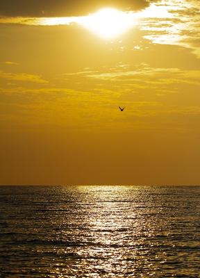 Раннее утро на море (60 фото) - 60 фото