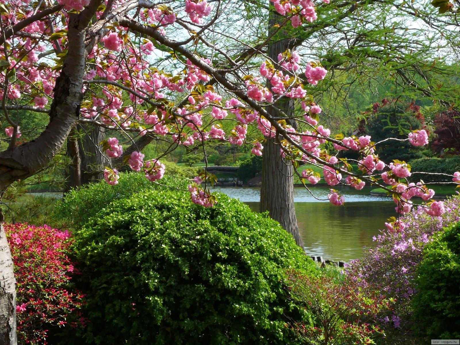 Красота весны - фото и картинки: 60 штук
