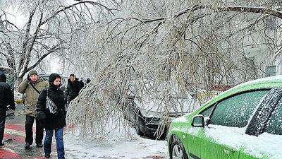 Ледяной дождь накроет Петербург 21 декабря - KP.RU