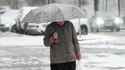 Ледяной дождь в Москве сегодня 22 ноября 2022 года: Видео, прогноз погоды -  KP.RU