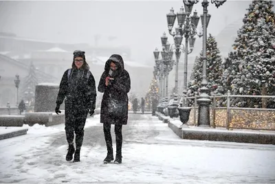 Ледяной дождь в Москве сменит арктическое вторжение | Новости общества