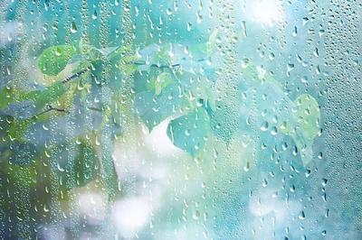 Летний дождь | Ключ | Дзен
