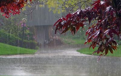 Я Люблю Дождь — стоковые фотографии и другие картинки Ветер - Ветер, Дождь,  Зима - iStock