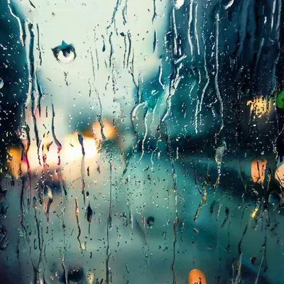 А я люблю дождь... — 17 ответов | форум Babyblog
