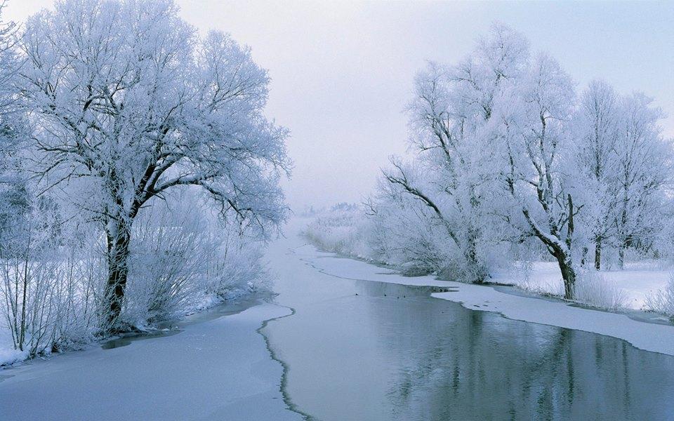 Начало зимы — Алтайский биосферный заповедник
