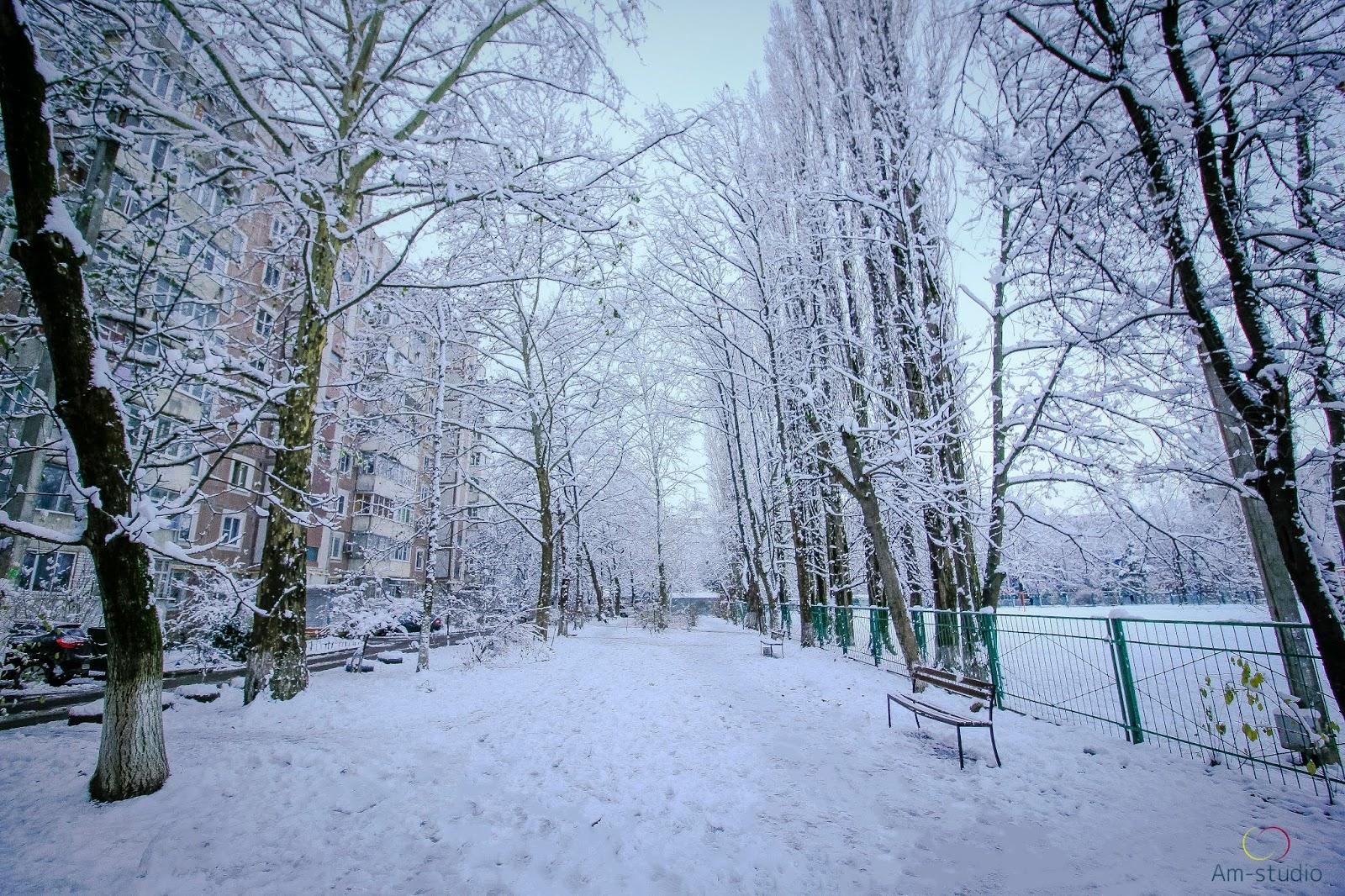 Начало зимы. :: Валентина Богатко – Социальная сеть ФотоКто