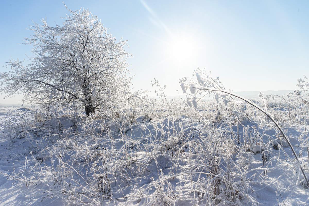 Амурск. Начало зимы | Амурский район | Фотопланета