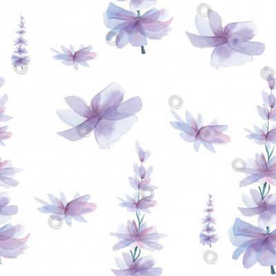 Нежный весенний фон, узор из фиолетовых цветов. Акварельные фиолетовые  цветы, нарисованные от руки, выделенные на белом фоне. Бесшовный фон -  Ozero - российский фотосток