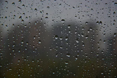 Дождливое настроение / Дождь за окнами