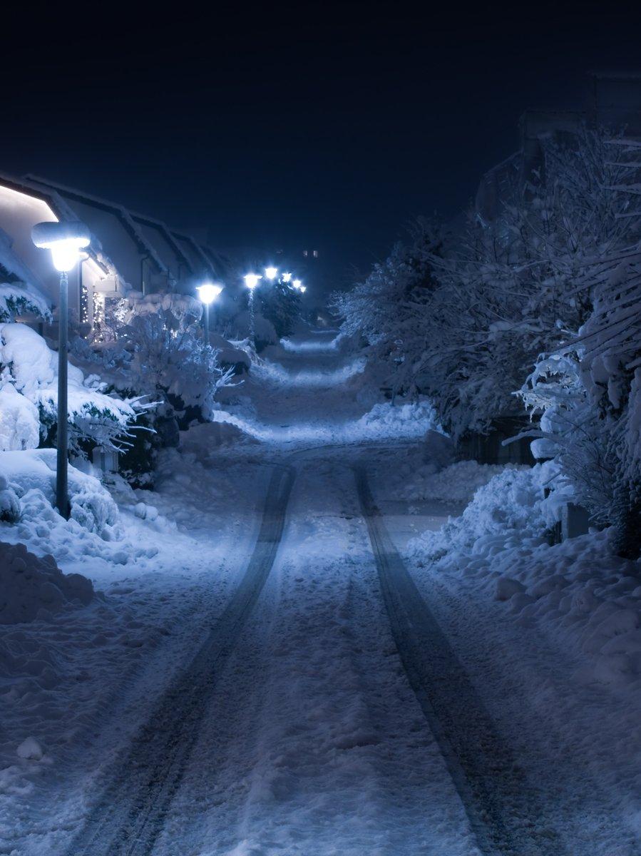 Бесплатные Зимняя ночь 1 стоковые фотографии | FreeImages
