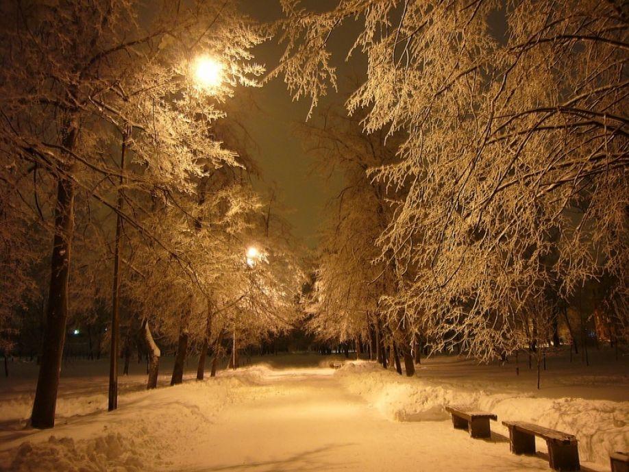 Зима, ночь, аллея - Зима - Фото галерея - Галерейка