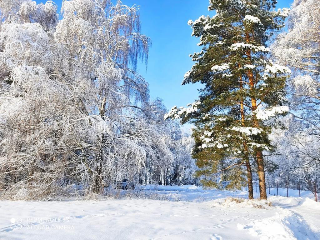 Холодная зима рисует очень красивые узоры на окне Стоковое Фото -  изображение насчитывающей северно, зеленый: 137523178