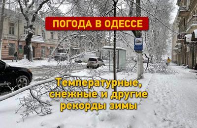 Прогноз погоды в Одессе на сегодня 16 января - Одесса Vgorode.ua