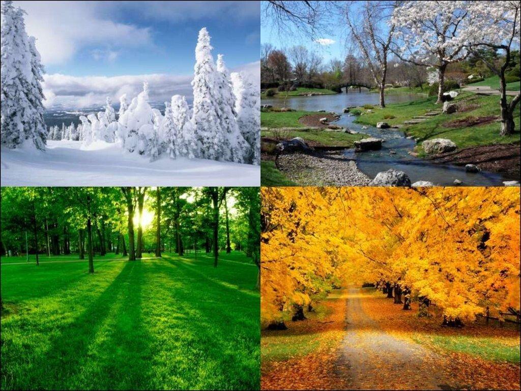 Четыре картинки в одной осень-зима…» — создано в Шедевруме