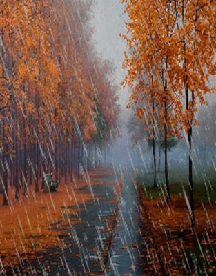 Осенний дождь» картина Соловьёва Сергея маслом на холсте — купить на  ArtNow.ru