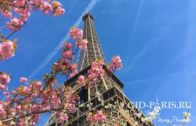 Париж весной картинки