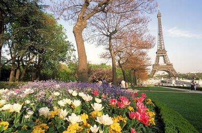 Париж весной | Пикабу